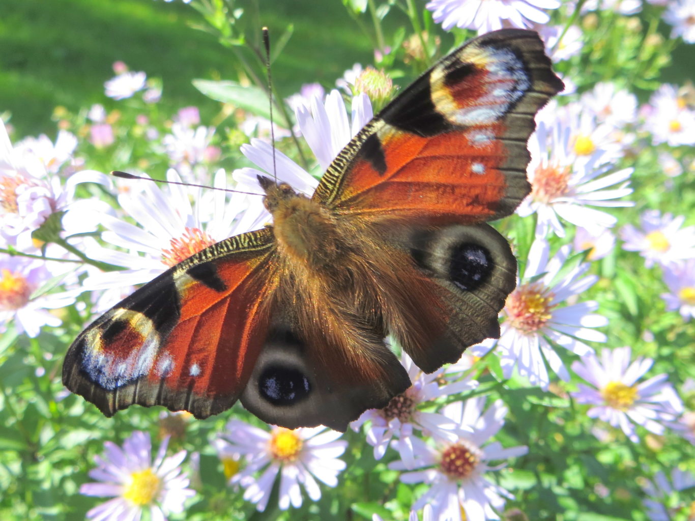 Valokuvaaja: Sirkka Ruotoistenmäki