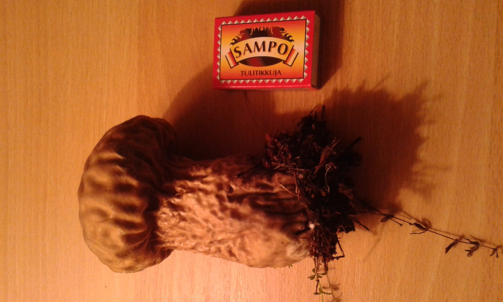 Valokuvaaja: Tarja Suovuo Valokuvaaja: Tarja Suovuo