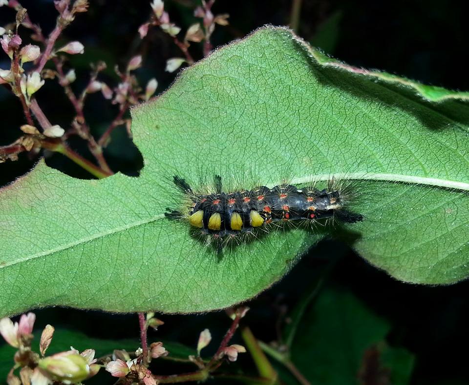 Valokuvaaja: Paula Lappi