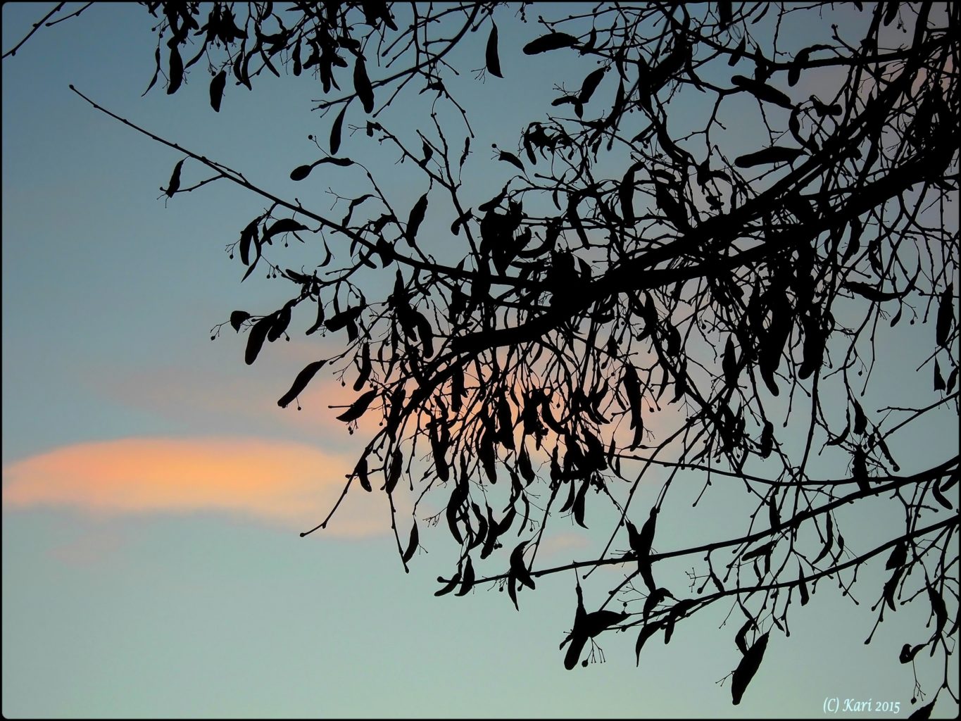 Valokuvaaja: Kari Saarinen