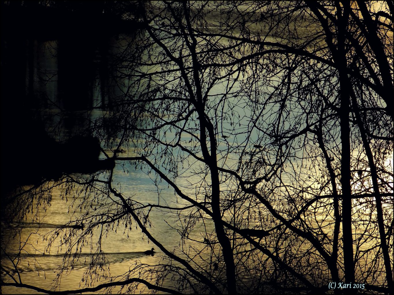 Valokuvaaja: Kari Saarinen