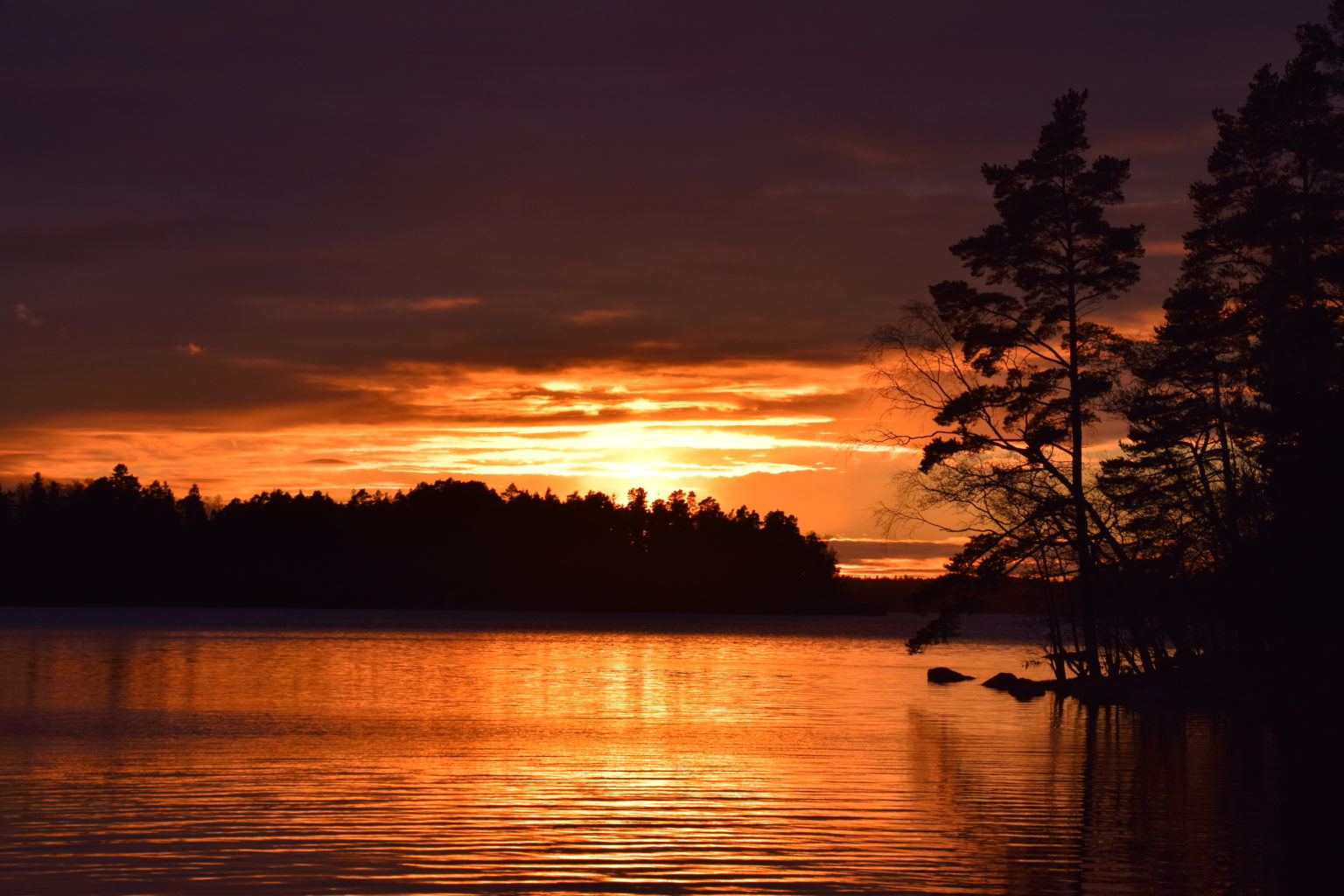 Valokuvaaja: Ulla Räsänen