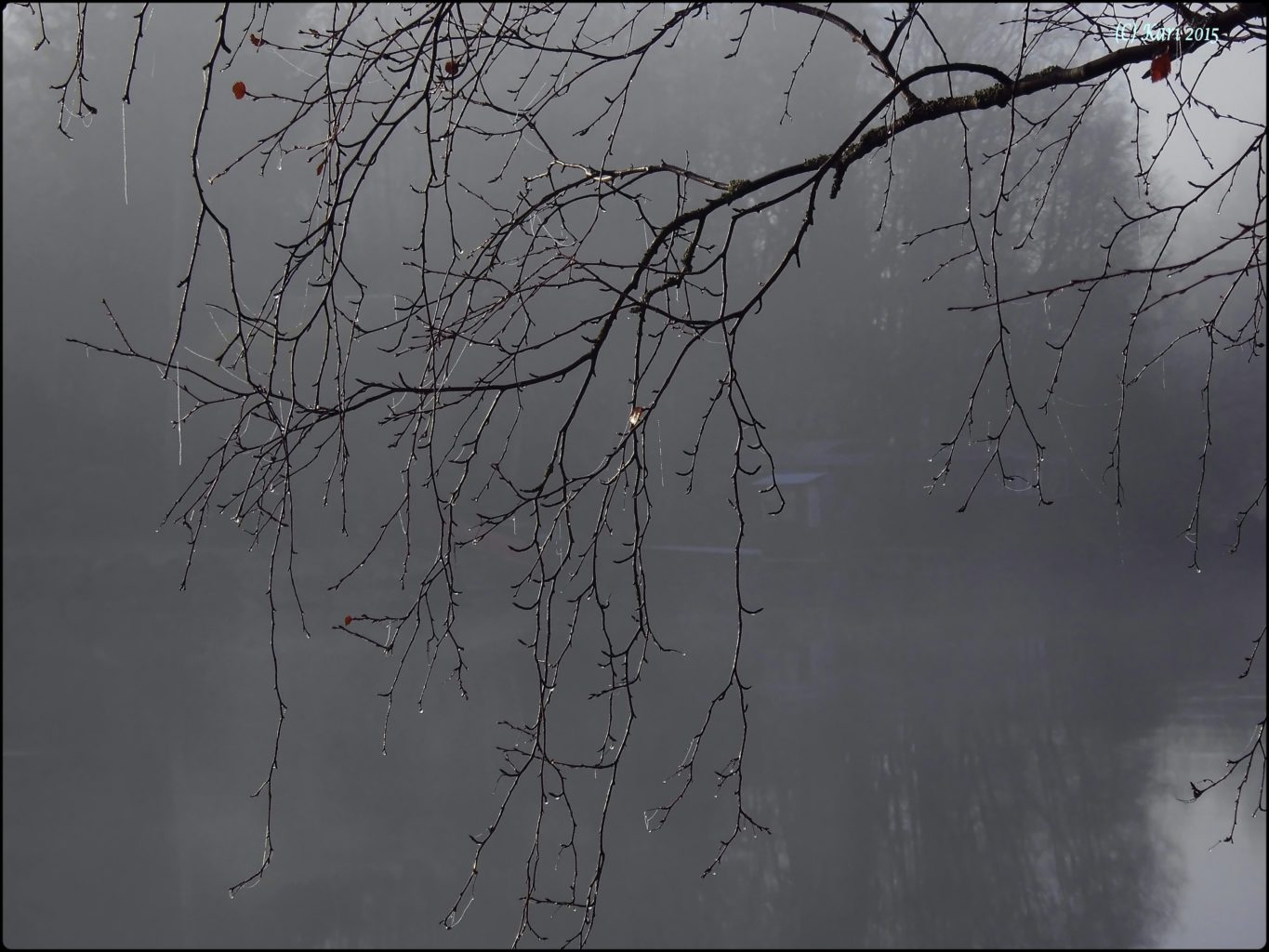 Valokuvaaja: Kari Saarinen