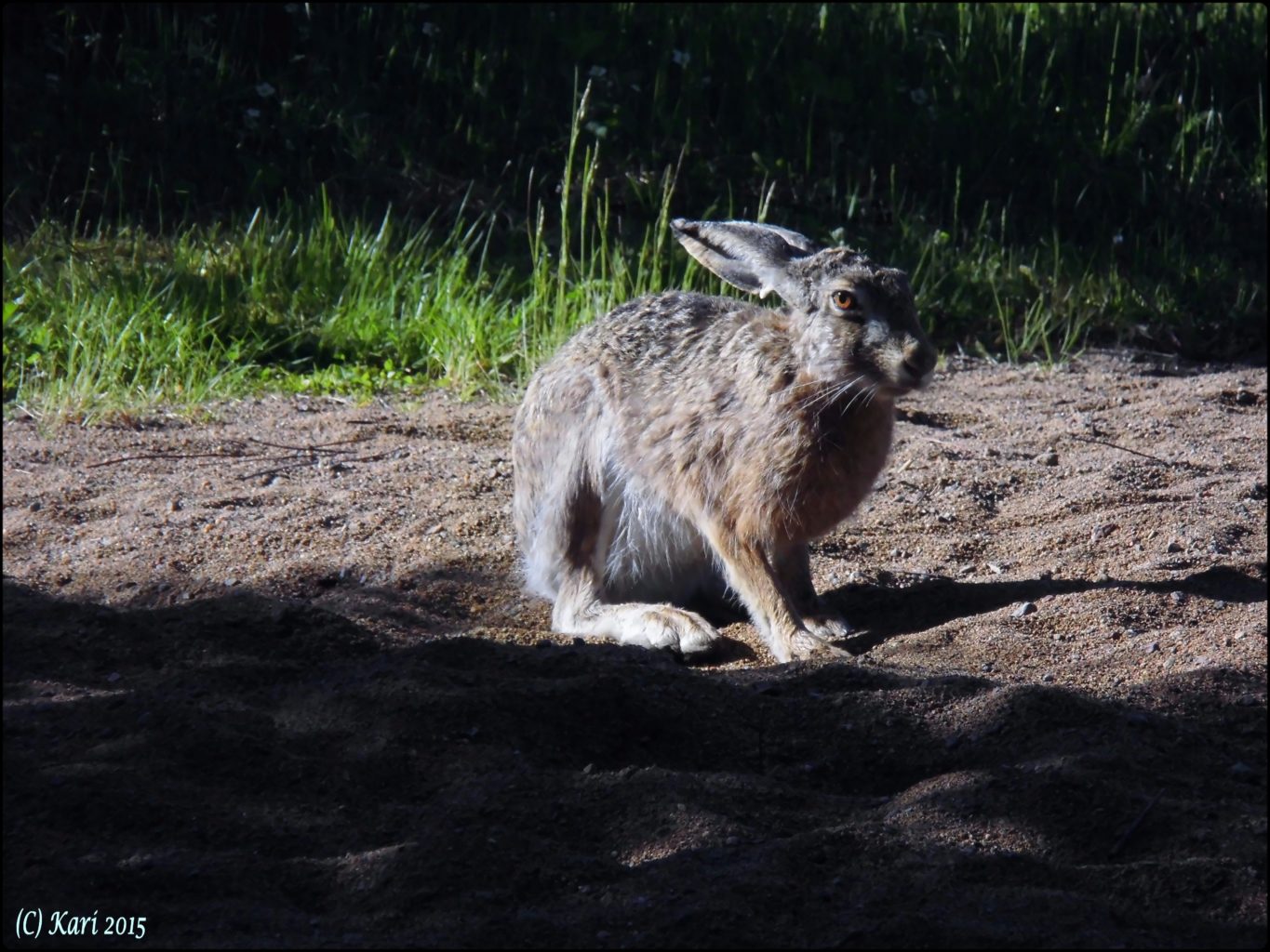 Valokuvaaja: Kari Saarinen