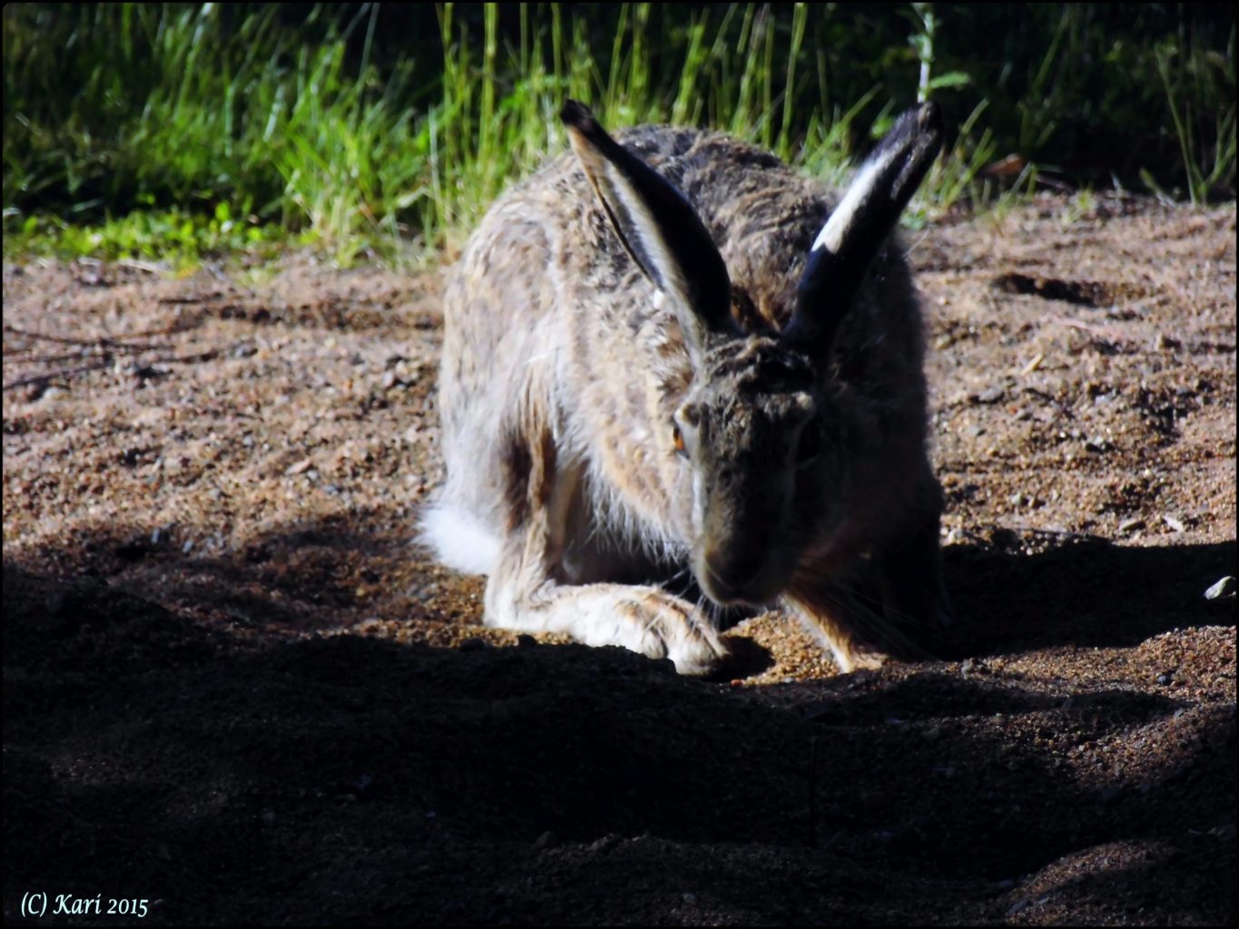 Valokuvaaja: Kari Saarinen