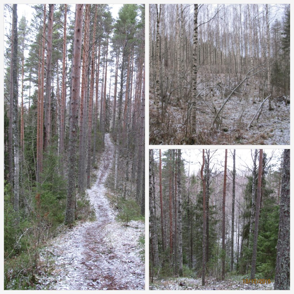 Valokuvaaja: Tuula Makkonen