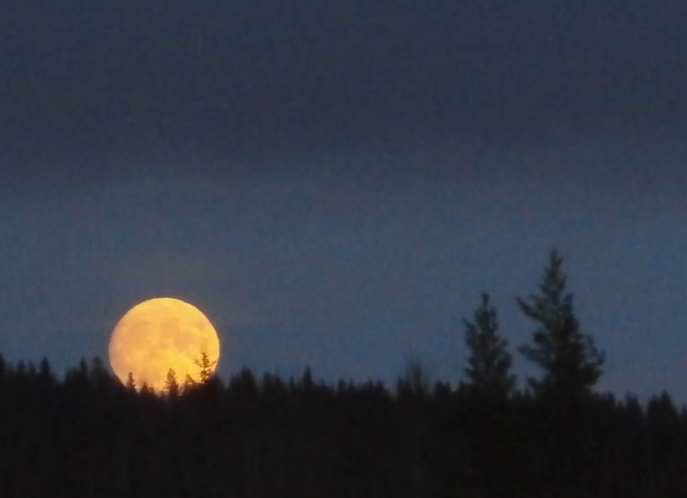 Valokuvaaja: Merja Kajanne