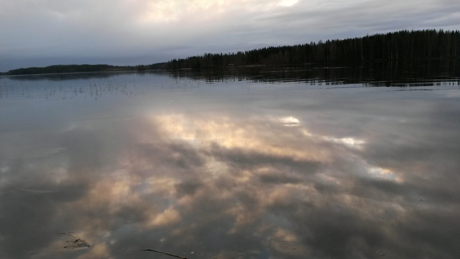 Valokuvaaja: Tuula Makkonen Valokuvaaja: Tuula Makkonen