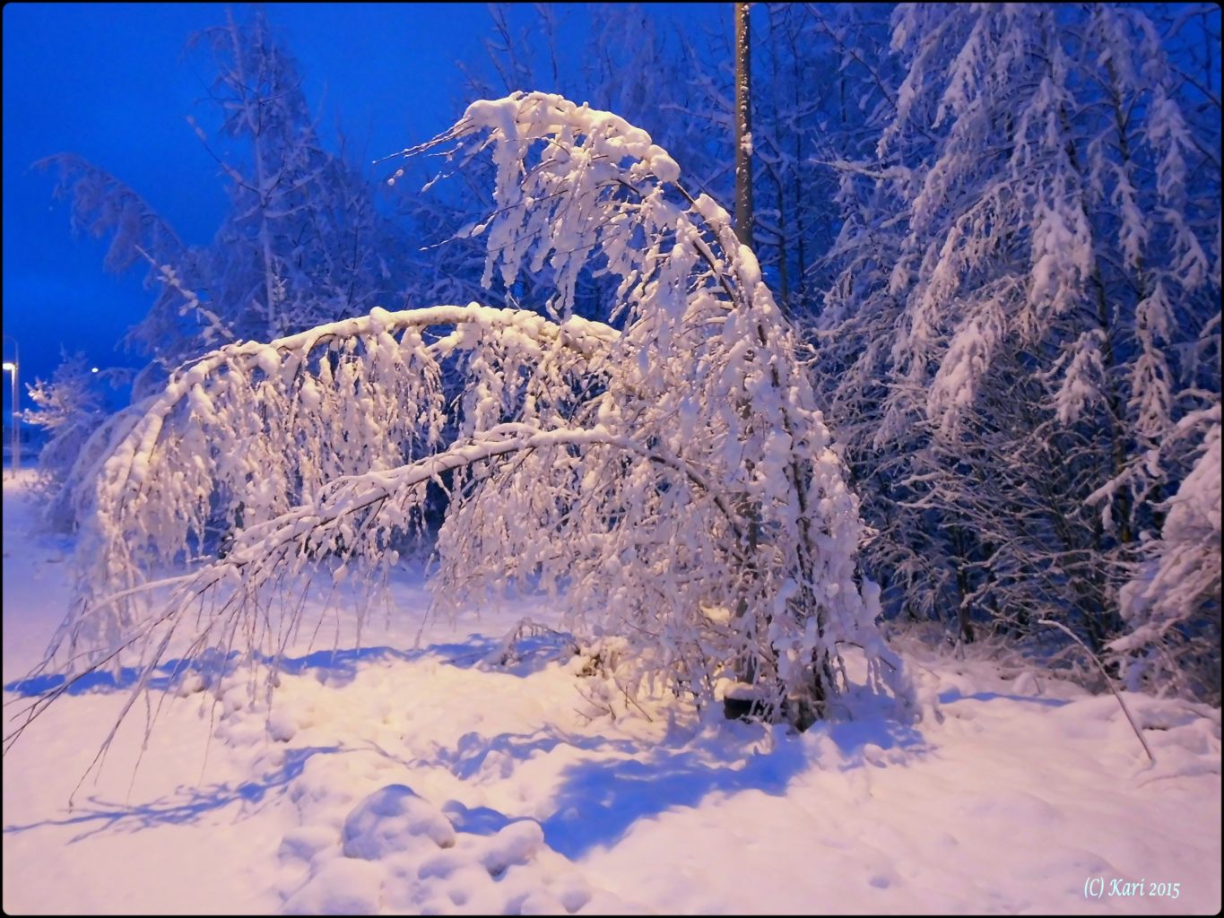 Valokuvaaja: Kari Saarinen