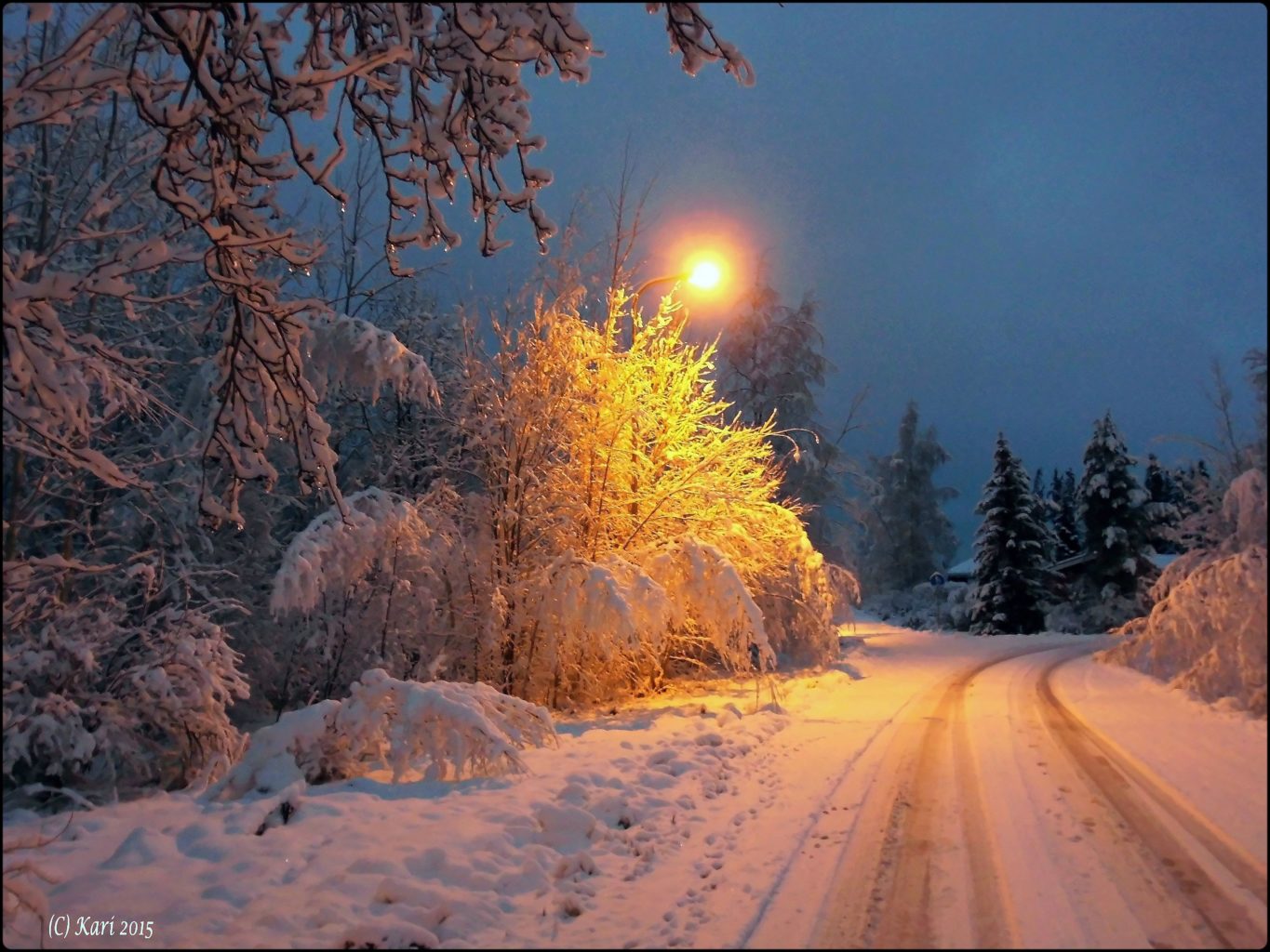 Valokuvaaja: Kari Saarinen