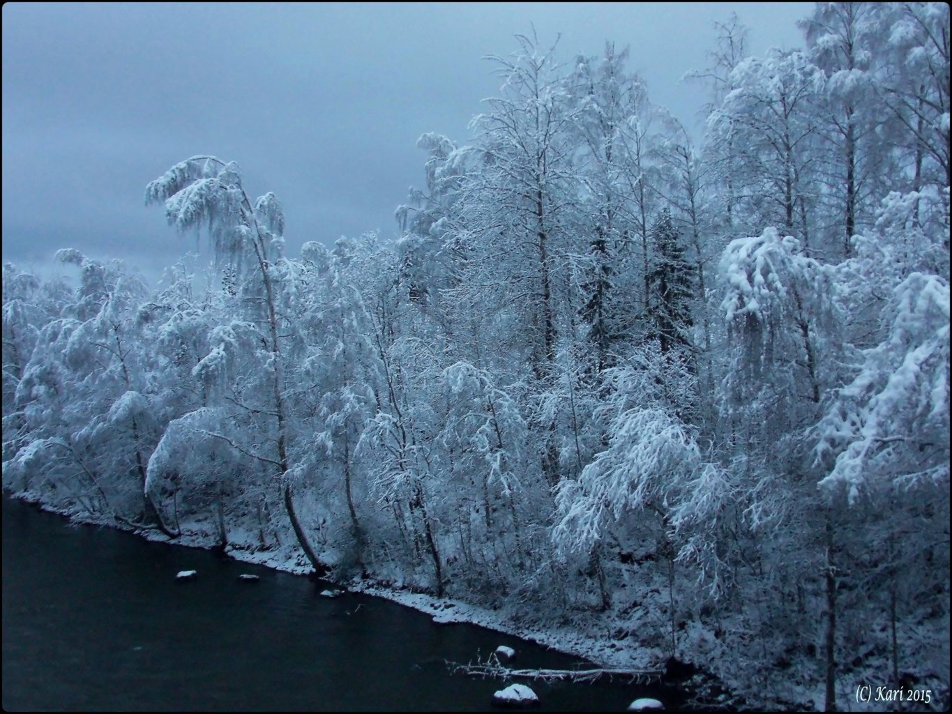 Valokuvaaja: Kari Saarinen