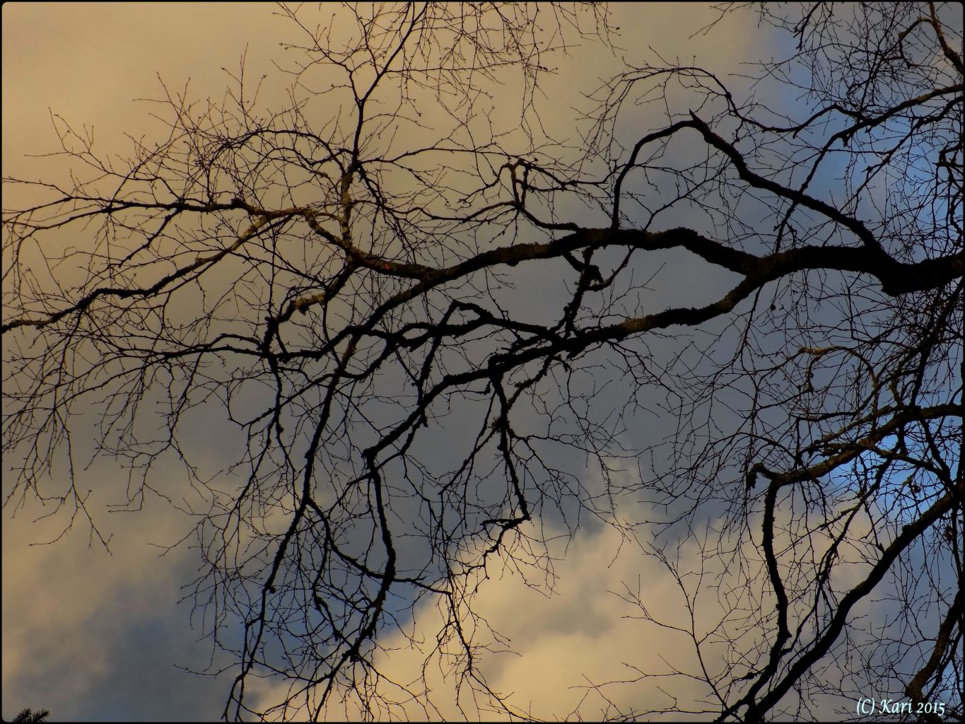 Valokuvaaja: Kari Saarinen