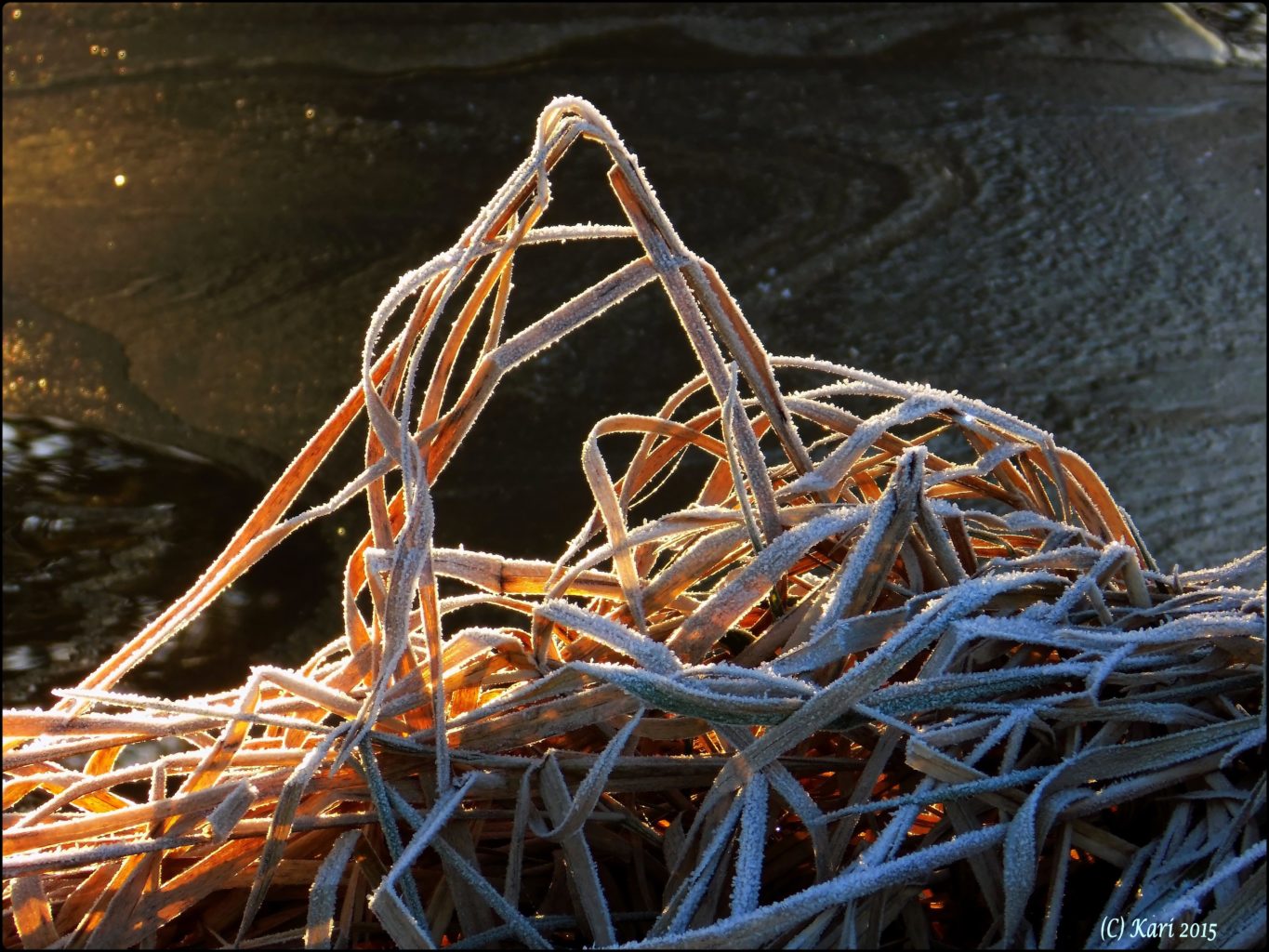 Valokuvaaja: Kari Saarinen Valokuvaaja: Kari Saarinen