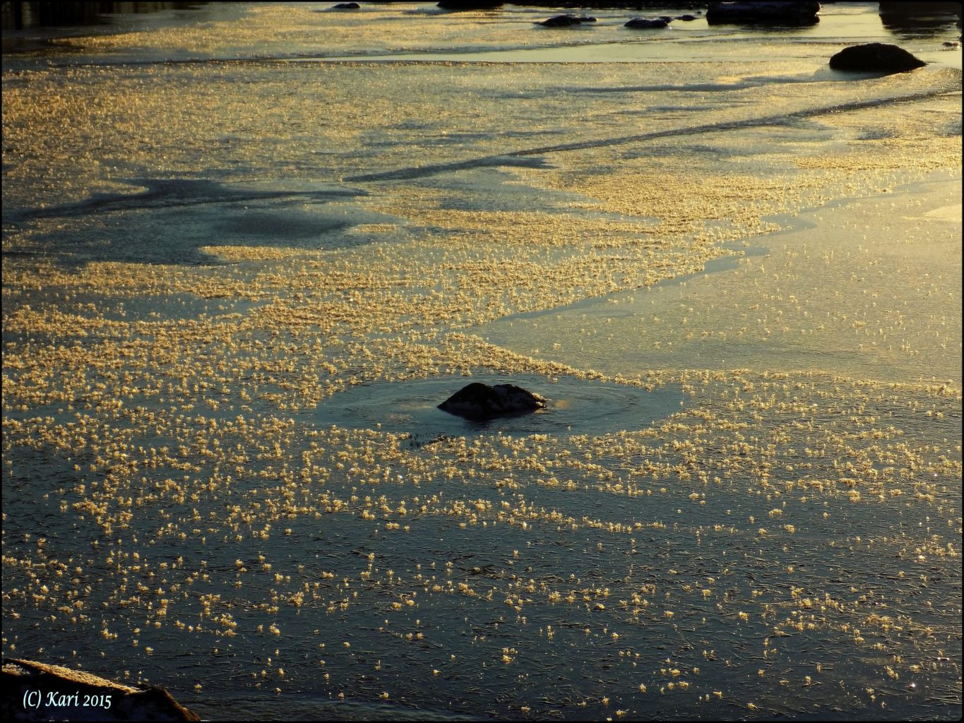 Valokuvaaja: Kari Saarinen Valokuvaaja: Kari Saarinen