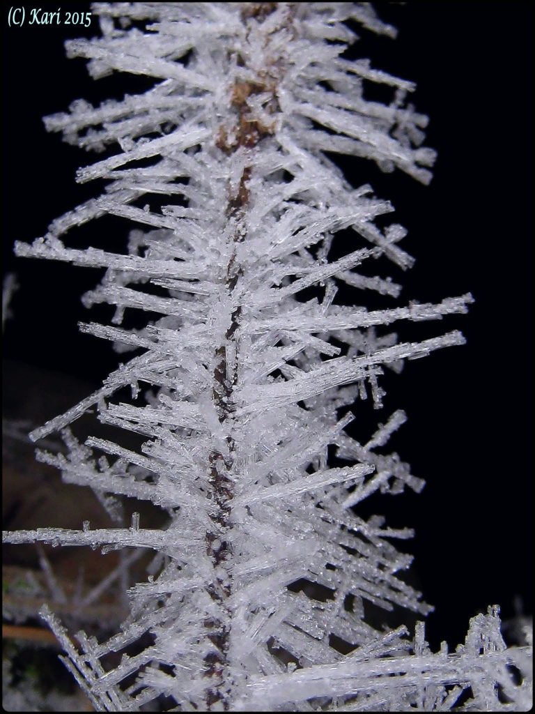 Valokuvaaja: Kari Saarinen Valokuvaaja: Kari Saarinen