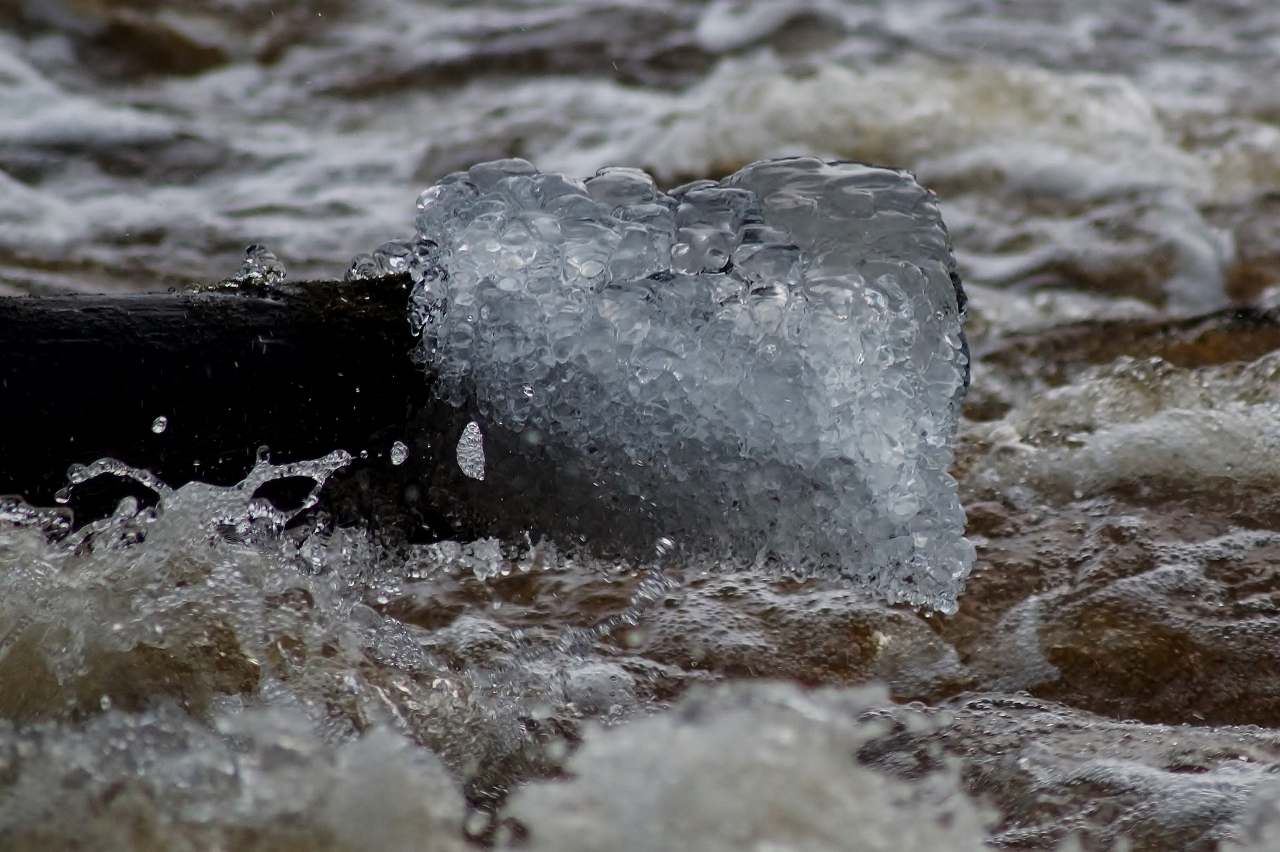 Valokuvaaja: Maarit Siitonen