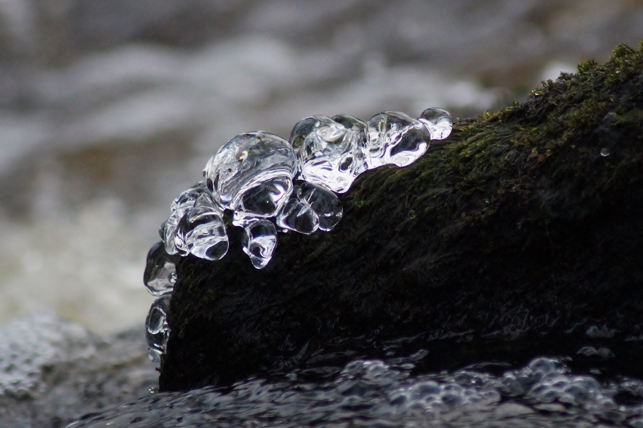 Valokuvaaja: Maarit Siitonen