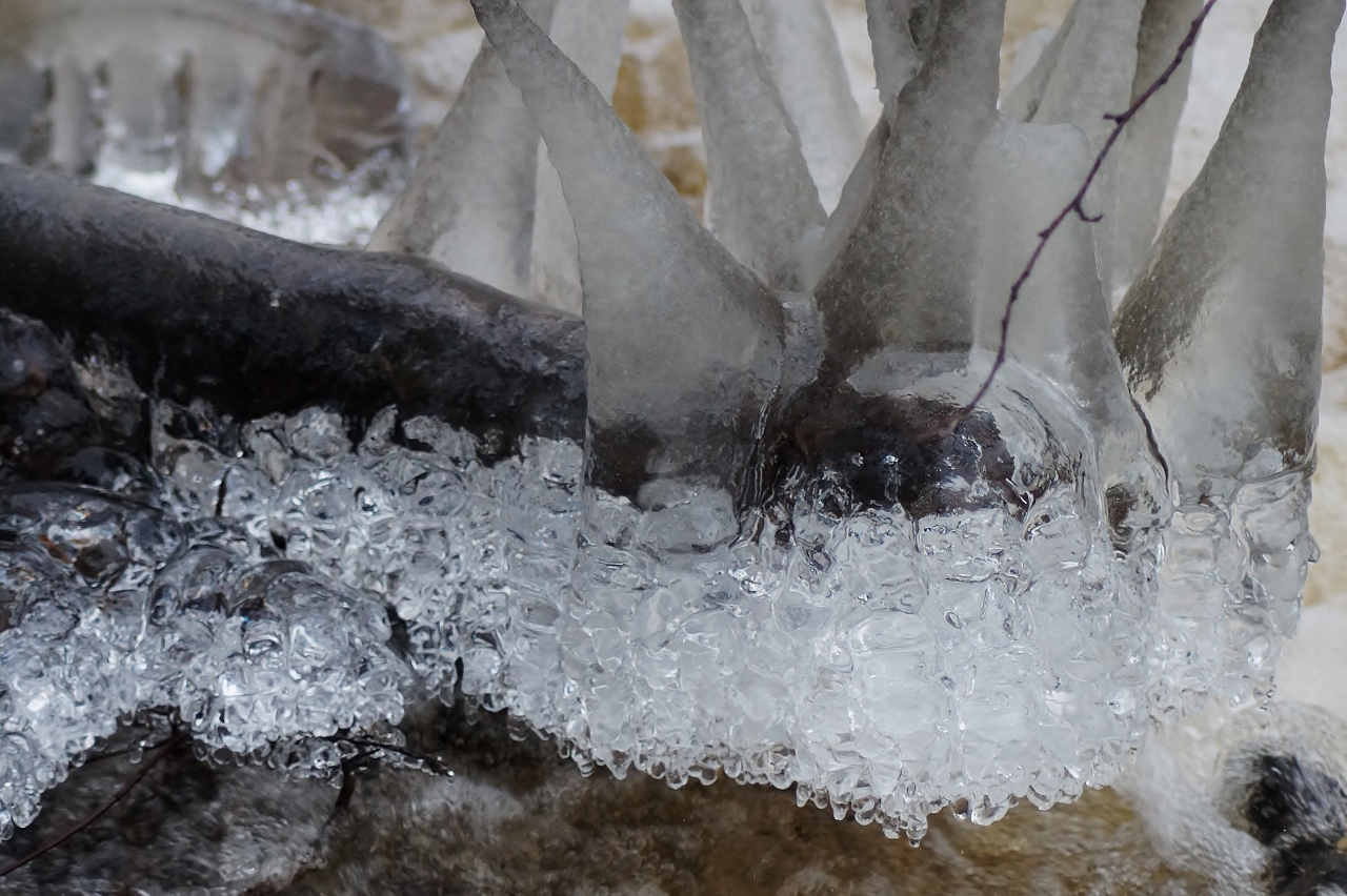 Valokuvaaja: Maarit Siitonen Valokuvaaja: Maarit Siitonen