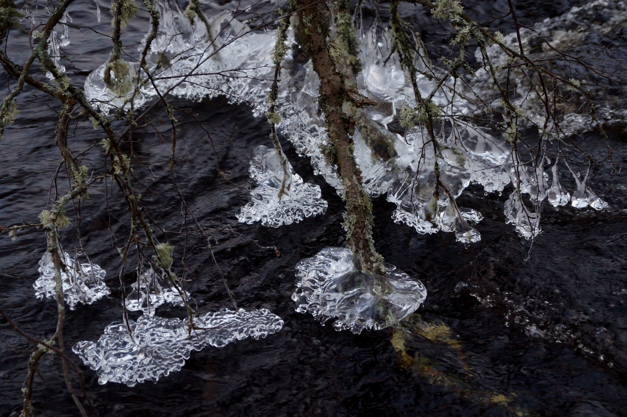 Valokuvaaja: Maarit Siitonen