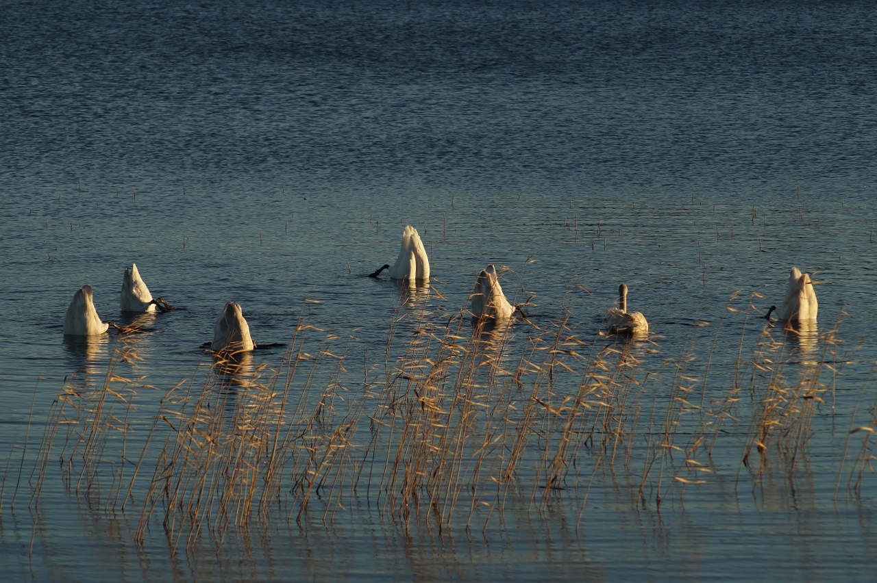 Valokuvaaja: Maarit Siitonen