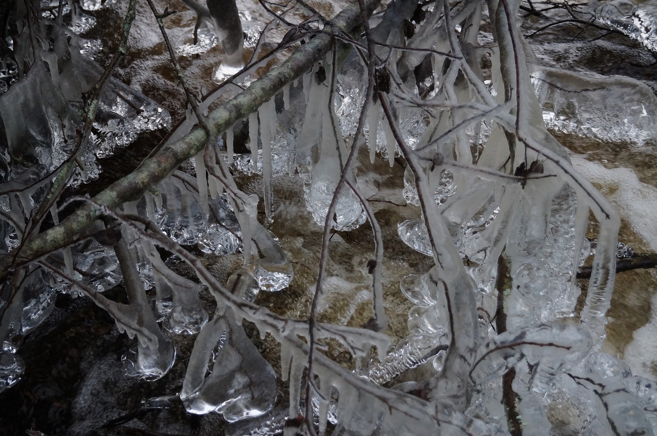 Valokuvaaja: Maarit Siitonen