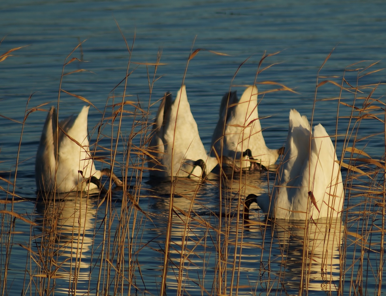 Valokuvaaja: Maarit Siitonen