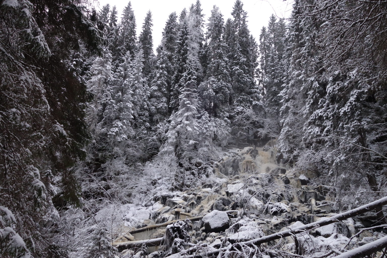 Valokuvaaja: Kaarina Heiskanen