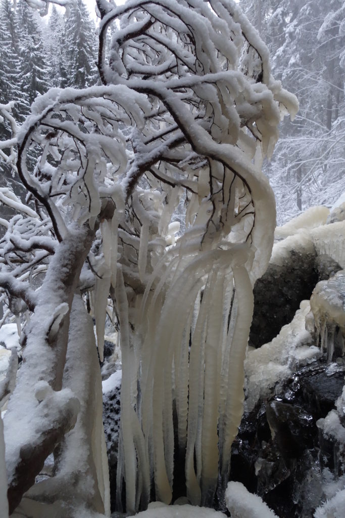 Valokuvaaja: Kaarina Heiskanen