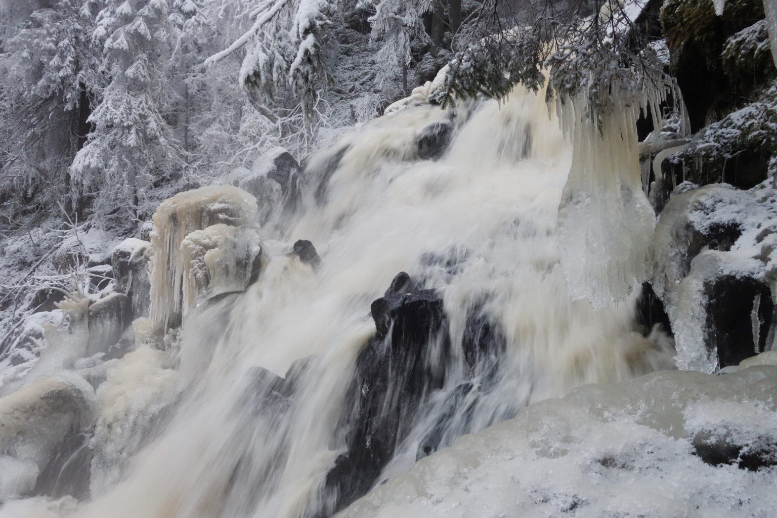 Valokuvaaja: Kaarina Heiskanen