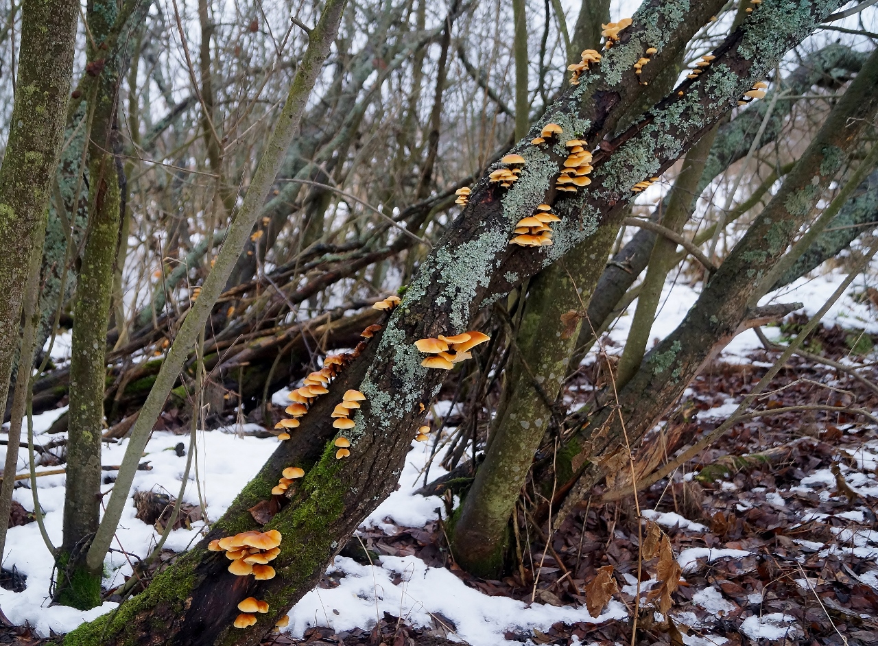 Valokuvaaja: Maarit Siitonen