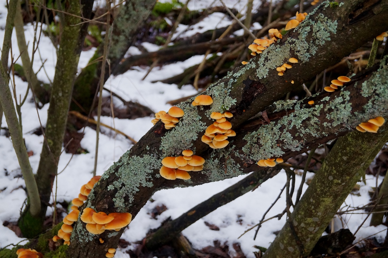 Valokuvaaja: Maarit Siitonen