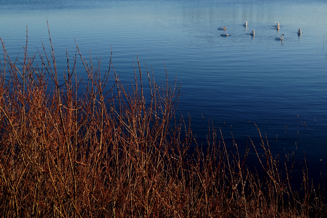 Valokuvaaja: Maarit Siitonen