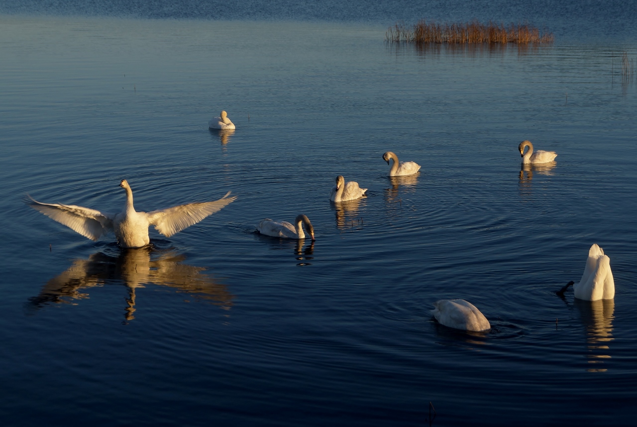 Valokuvaaja: Maarit Siitonen