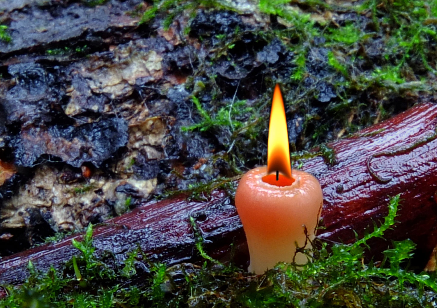 Valokuvaaja: Hannu Rasiranta Valokuvaaja: Hannu Rasiranta