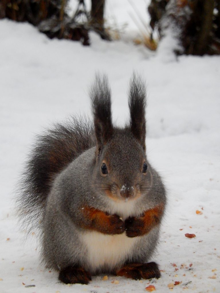 Valokuvaaja: Pirkko Siukonen