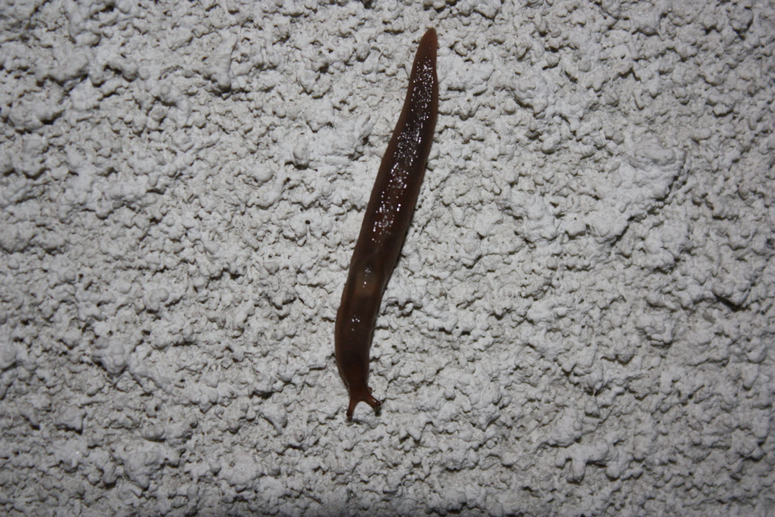 Valokuvaaja: Marke Forsgren