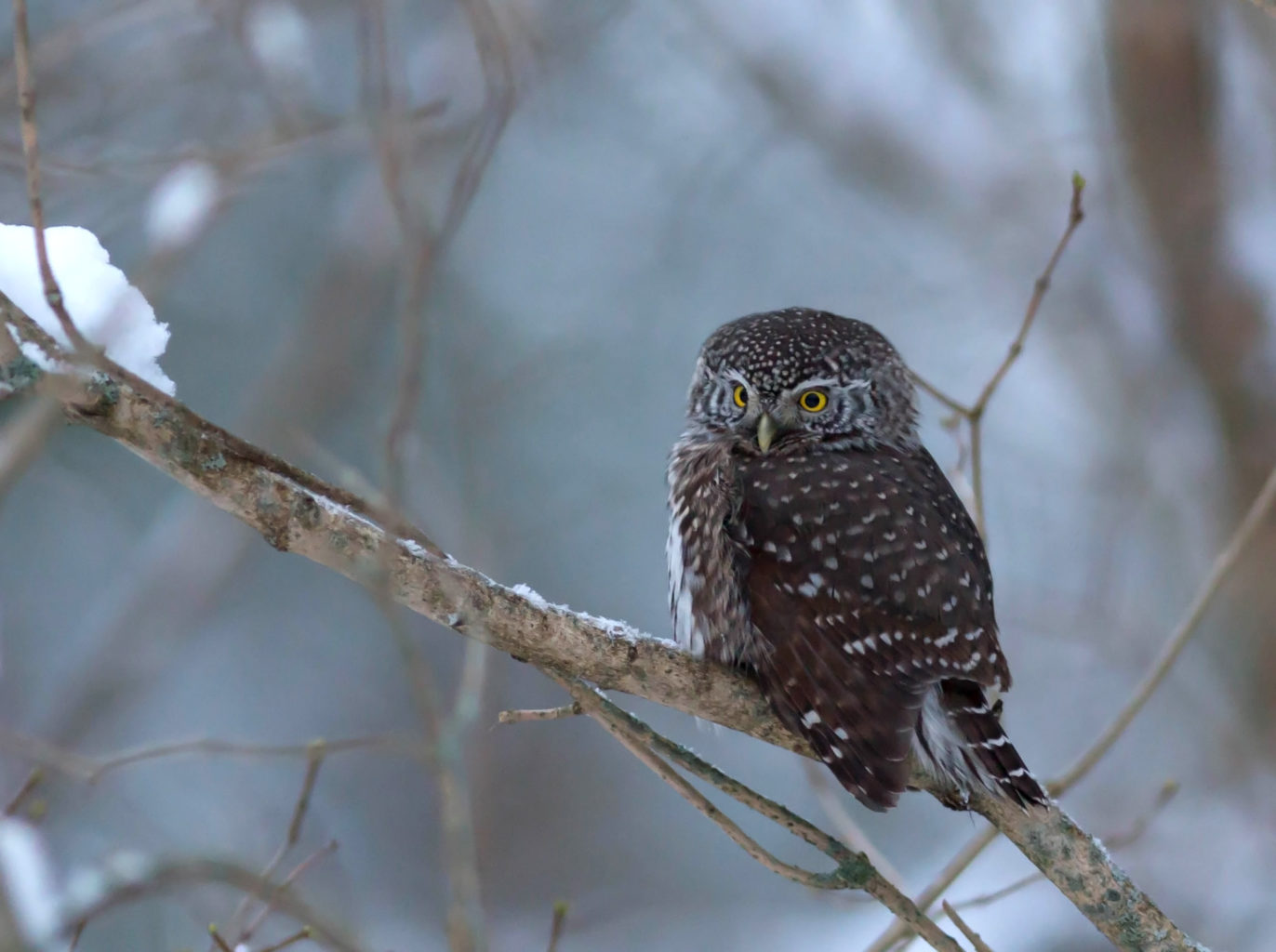 Valokuvaaja: Irma Kortekallio