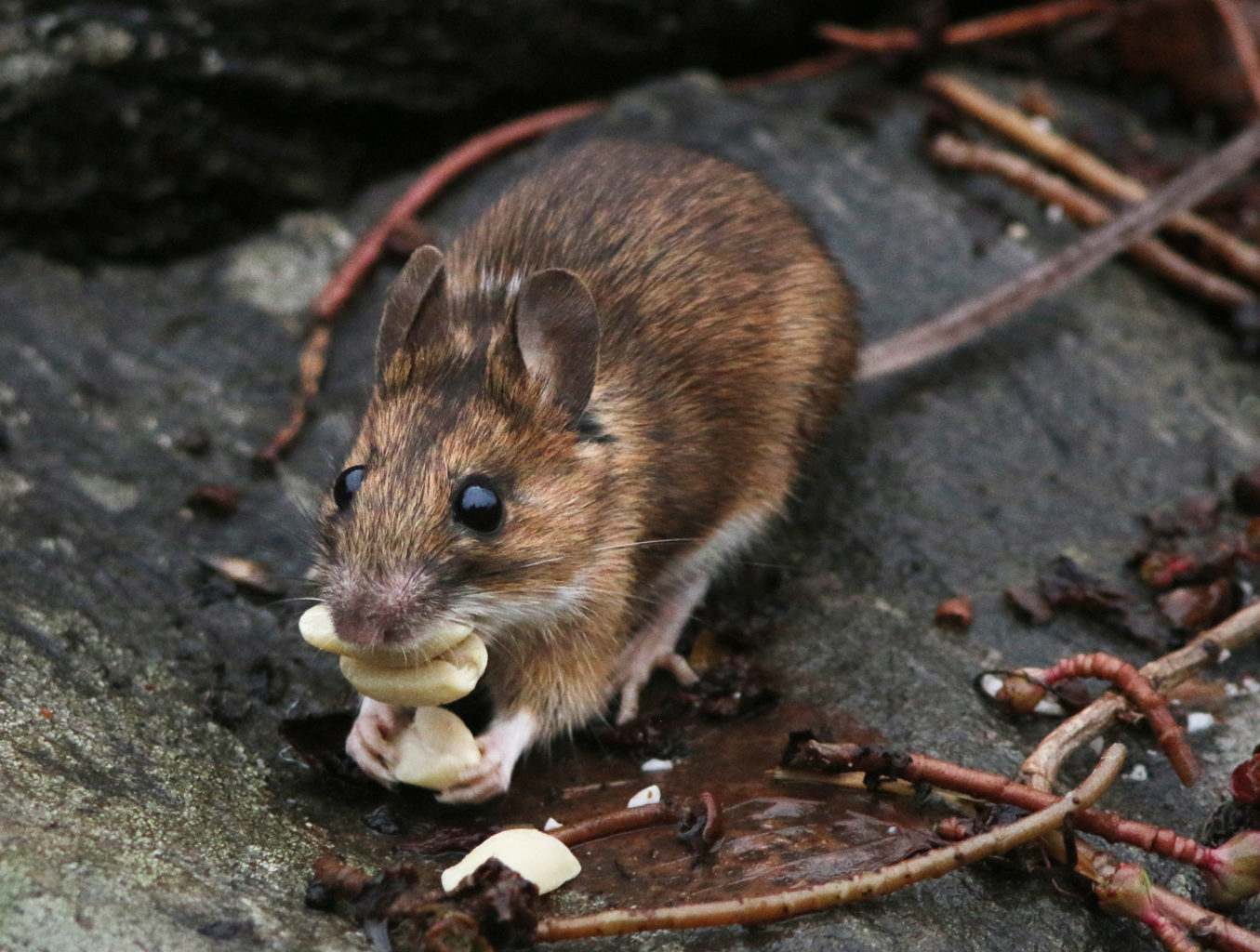 Valokuvaaja: Tarja Porkkala Valokuvaaja: Tarja Porkkala