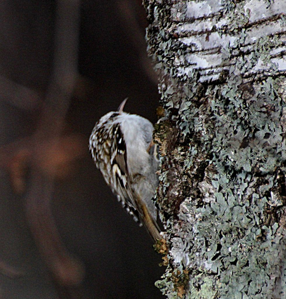 Valokuvaaja: Irja lehtinen
