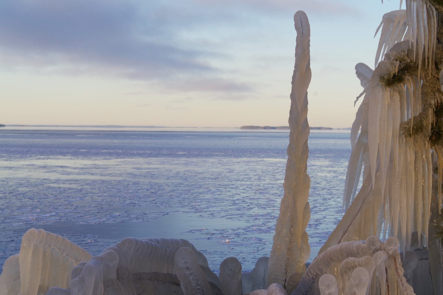 Valokuvaaja: Tuula Makkonen Valokuvaaja: Tuula Makkonen