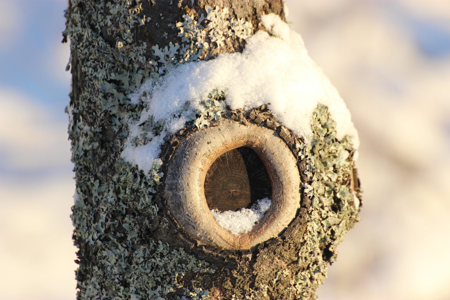 Valokuvaaja: Irja lehtinen