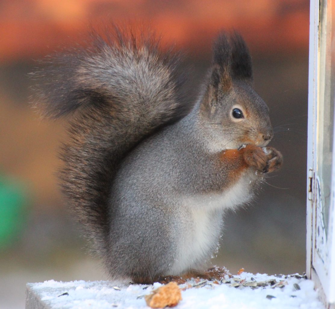 Valokuvaaja: Irja lehtinen