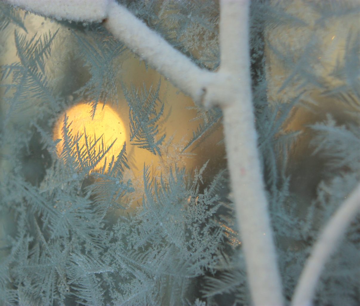 Valokuvaaja: Irja lehtinen