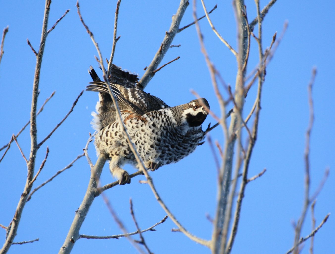 Valokuvaaja: Irja lehtinen