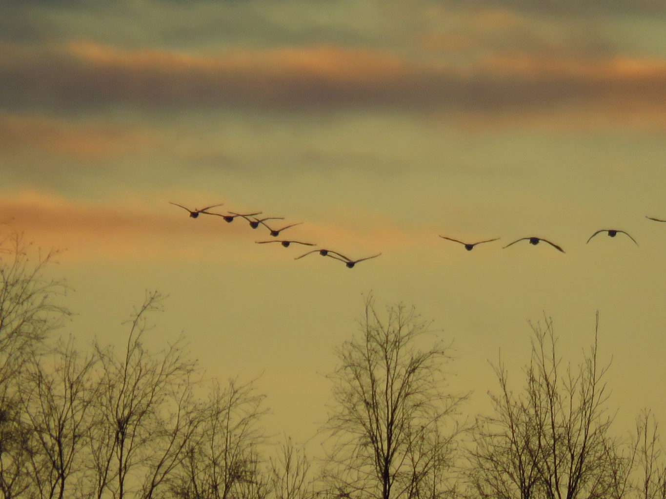 Valokuvaaja: anu kokkila