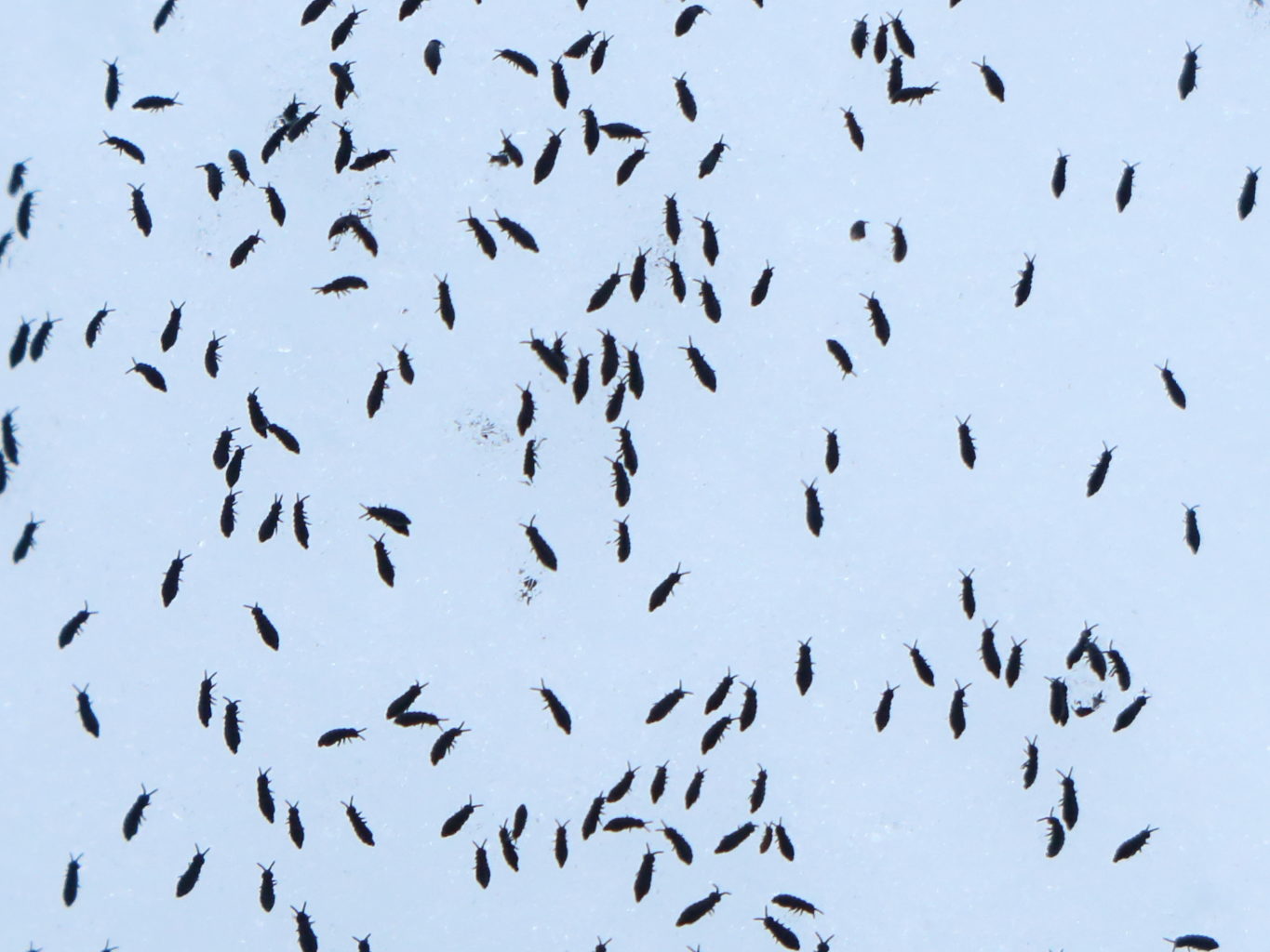 Valokuvaaja: Simon Wylie