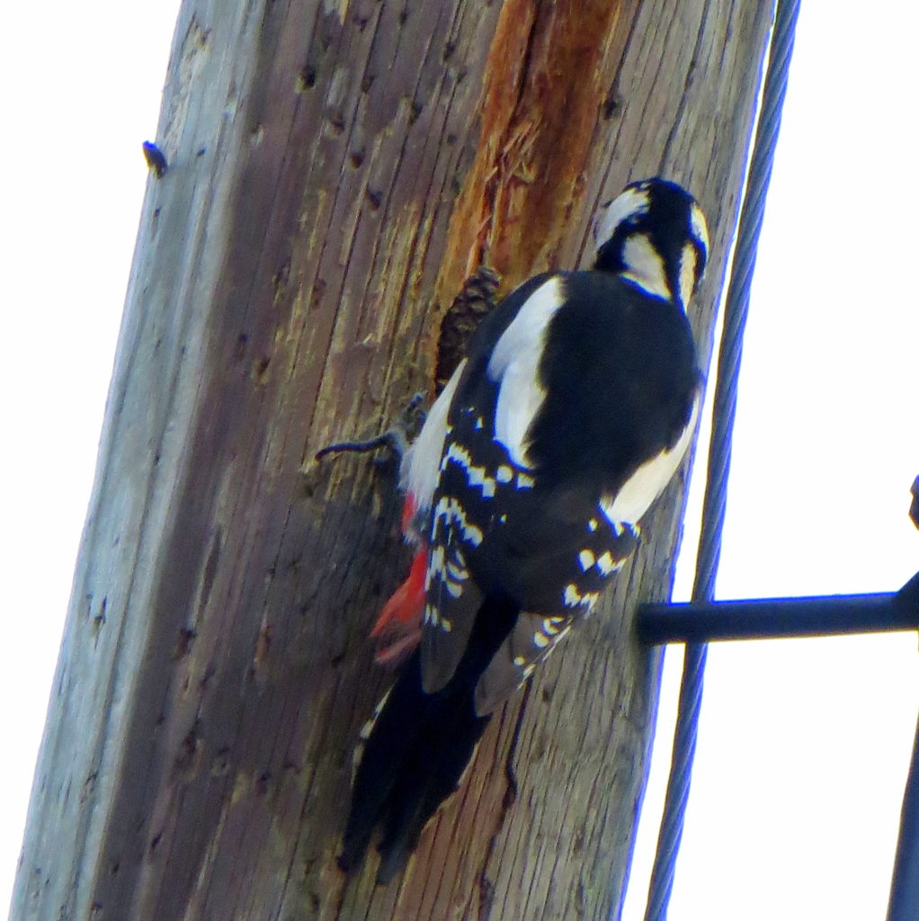 Valokuvaaja: Sirkka Ruotoistenmäki