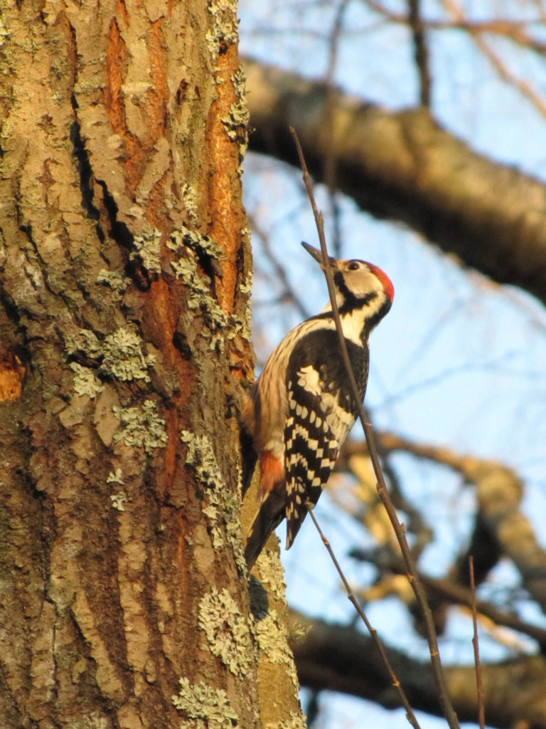 Valokuvaaja: Liisa Johansson