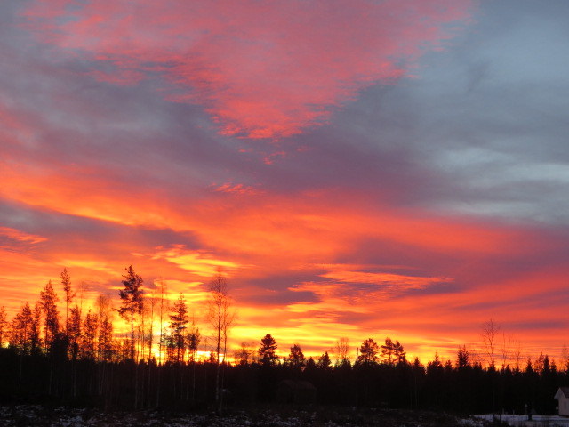 Valokuvaaja: Sirkka Ruotoistenmäki