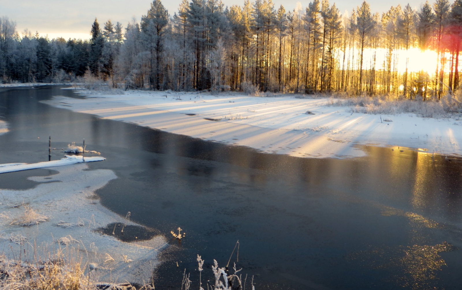 Valokuvaaja: Sirkka Ruotoistenmäki